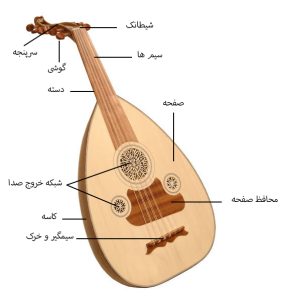 آناتومی عود