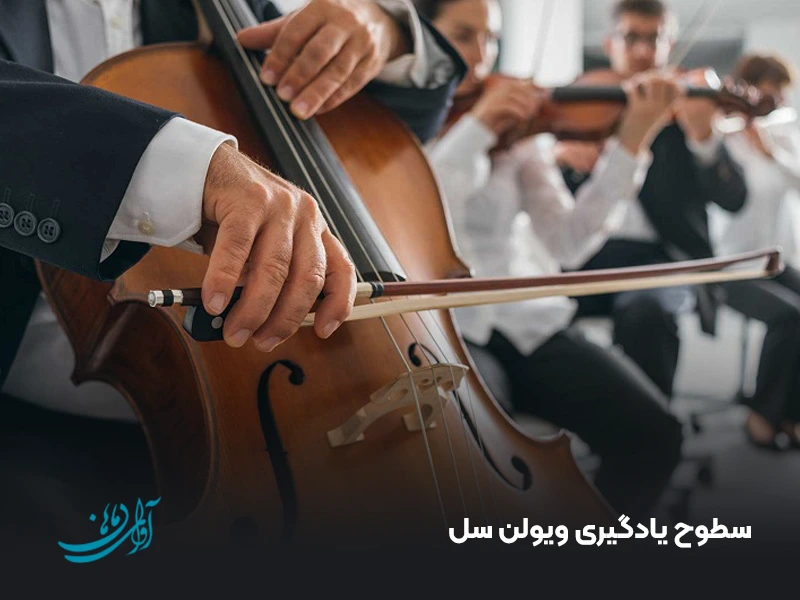 سطوح یادگیری ویولن سل