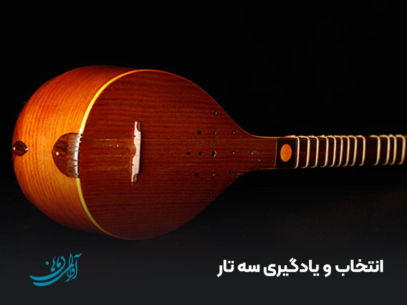 انتخاب و یادگیری سه تار