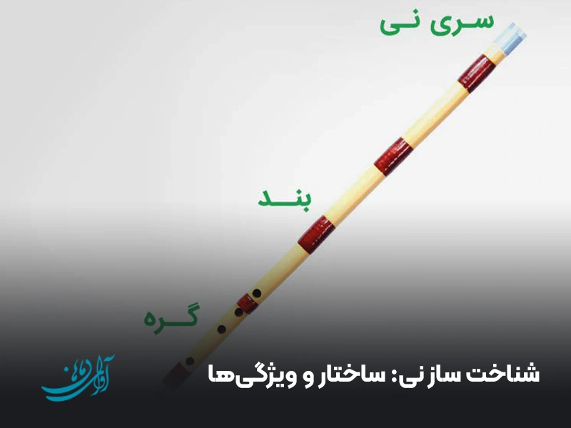 شناخت ساز نی ساختار و ویژگی‌ها