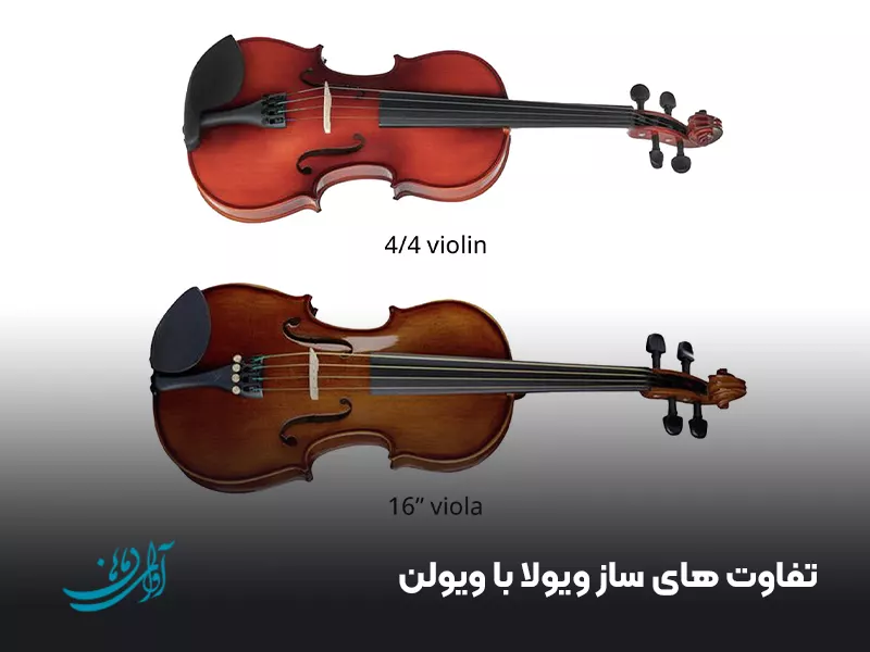 تفاوت‌ های ساز ویولا با ویولن