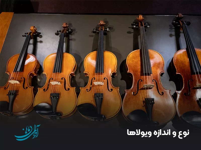 نوع و اندازه ویولاها