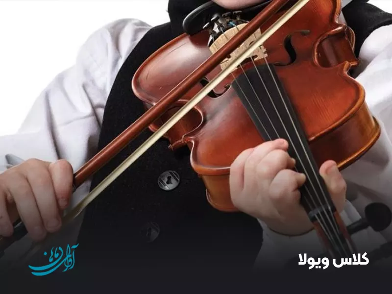کلاس ویولا